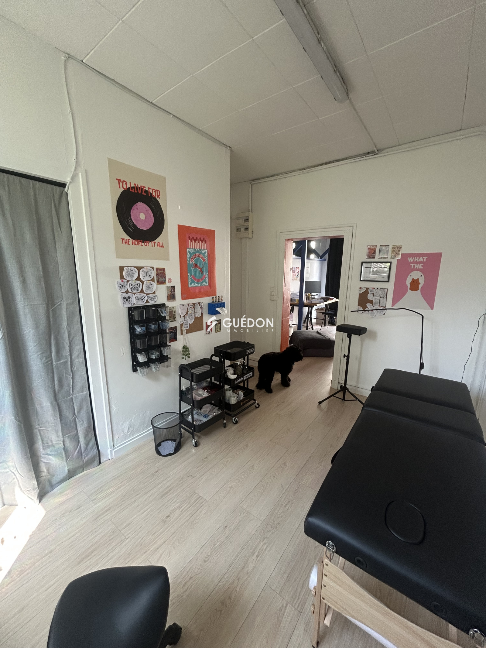 Image_, Local commercial, Angers, ref :1796 - 02