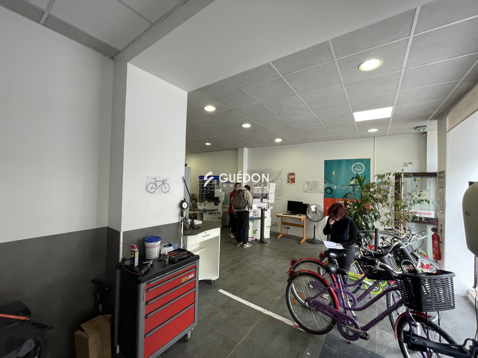 Image_, Local commercial, Angers, ref :